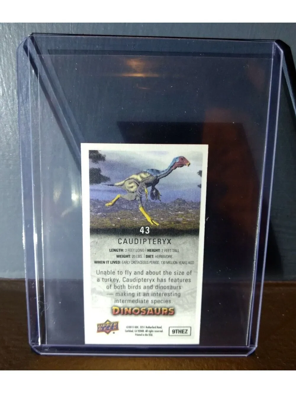 2015 Upper Deck Dinosaurs Canvas Mini Caudipteryx #43 Trading Card